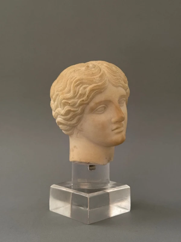 Sculpted head in statuary marble by Artemide—18th century—Italy