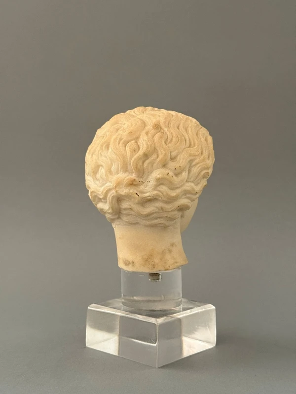 Sculpted head in statuary marble by Artemide—18th century—Italy