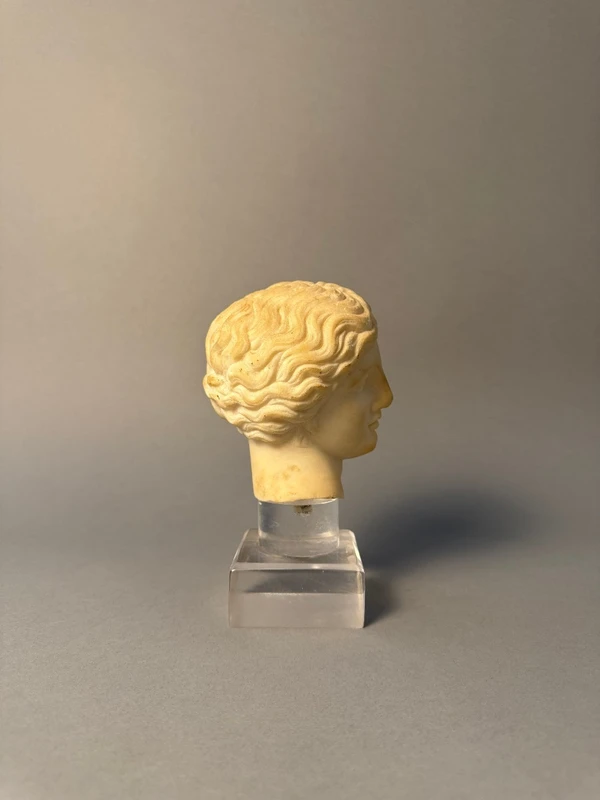 Sculpted head in statuary marble by Artemide—18th century—Italy