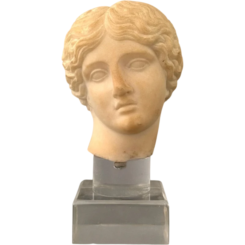 Sculpted head in statuary marble by Artemide—18th century—Italy