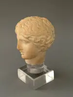 Sculpted head in statuary marble by Artemide—18th century—Italy