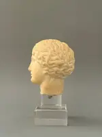 Sculpted head in statuary marble by Artemide—18th century—Italy
