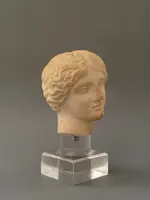 Sculpted head in statuary marble by Artemide—18th century—Italy