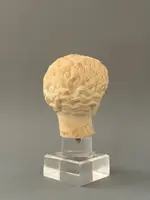 Sculpted head in statuary marble by Artemide—18th century—Italy