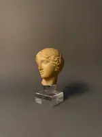 Sculpted head in statuary marble by Artemide—18th century—Italy