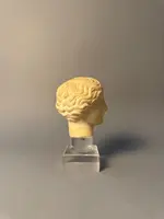 Sculpted head in statuary marble by Artemide—18th century—Italy