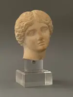 Sculpted head in statuary marble by Artemide—18th century—Italy