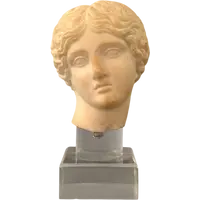 Sculpted head in statuary marble by Artemide—18th century—Italy
