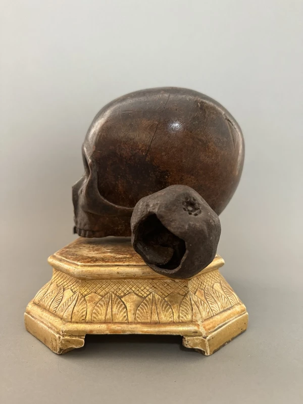 Vanitas sur socle en bois doré du XVIIe siècle - Italie