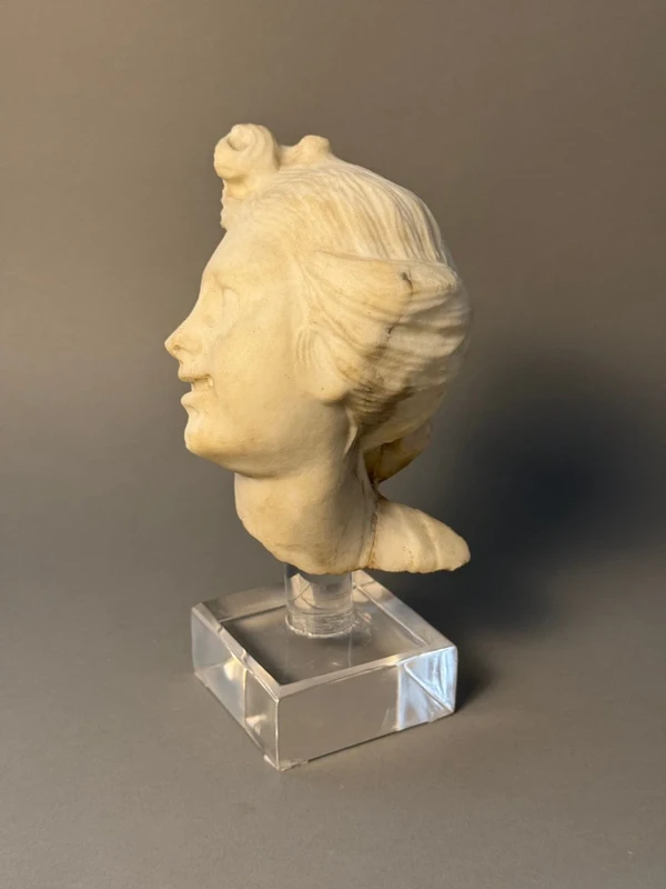 Neoclassical marble bust—18th century