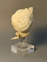Neoclassical marble bust—18th century