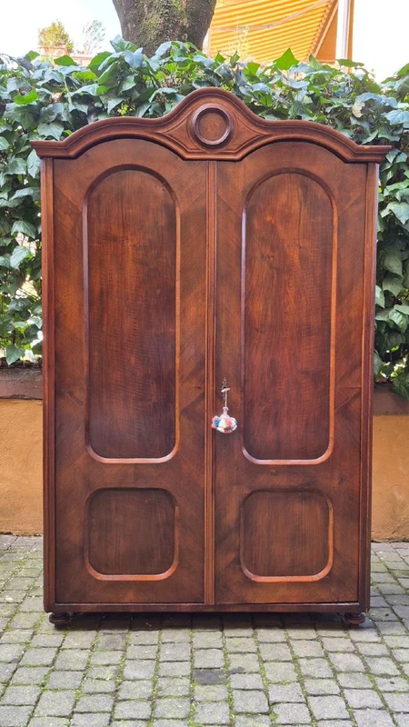 Antique walnut and burl wood paneled wardrobe from the 19th century