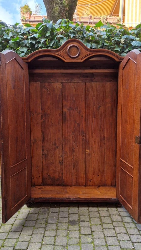 Antique walnut and burl wood paneled wardrobe from the 19th century