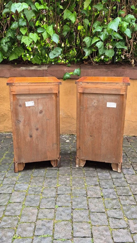 Pair of antique 19th-century oak nightstands