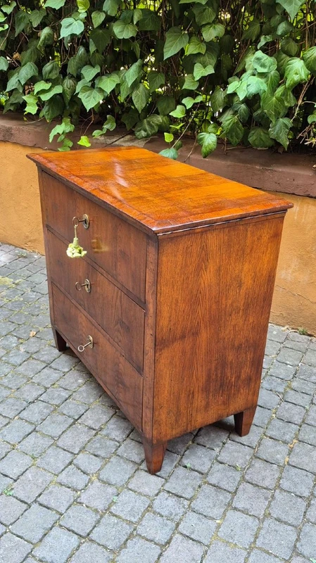 Small antique 19th-century chest of drawers in the Louis XVI style, veneered