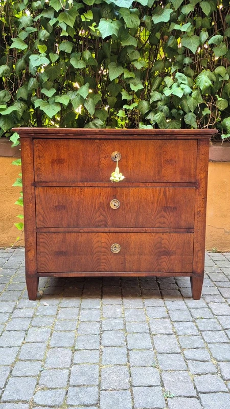 Small antique 19th-century chest of drawers in the Louis XVI style, veneered