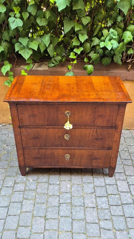 Small antique 19th-century chest of drawers in the Louis XVI style, veneered