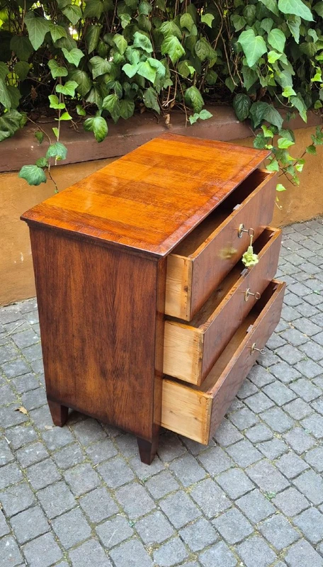 Small antique 19th-century chest of drawers in the Louis XVI style, veneered