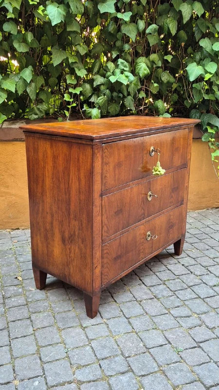 Small antique 19th-century chest of drawers in the Louis XVI style, veneered