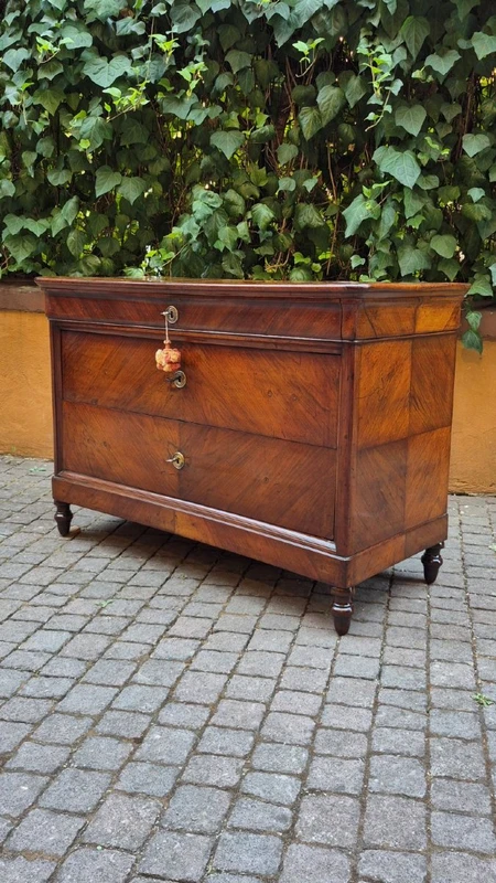 Antique Luigi Filippo-style chest of drawers from Emilia, cappuccino color