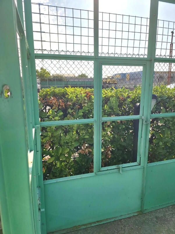 Wrought-Iron Greenhouse with Lemon Grove – Tuscany, 20th century