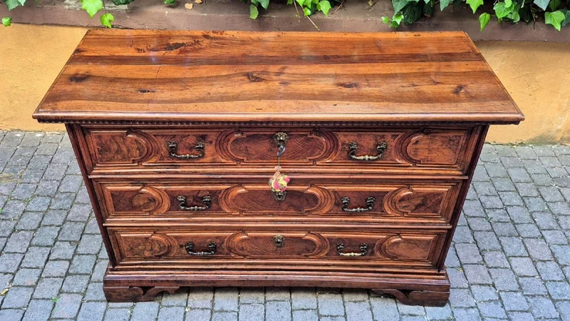 Commode à tiroirs de style « canterano » ancienne de Bologne, datant du XVIIe siècle, avec incrustations de ronce de noyer