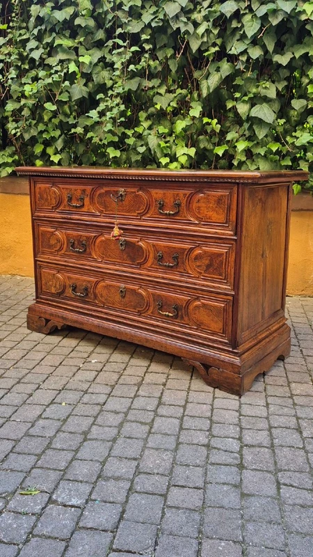 Commode à tiroirs de style « canterano » ancienne de Bologne, datant du XVIIe siècle, avec incrustations de ronce de noyer