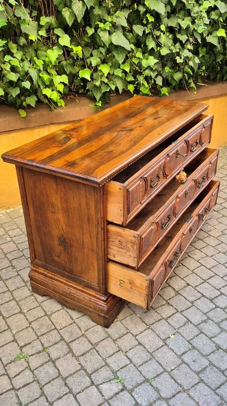 Commode à tiroirs de style « canterano » ancienne de Bologne, datant du XVIIe siècle, avec incrustations de ronce de noyer