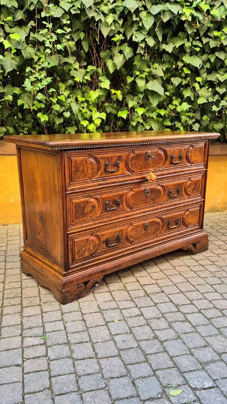 Commode à tiroirs de style « canterano » ancienne de Bologne, datant du XVIIe siècle, avec incrustations de ronce de noyer