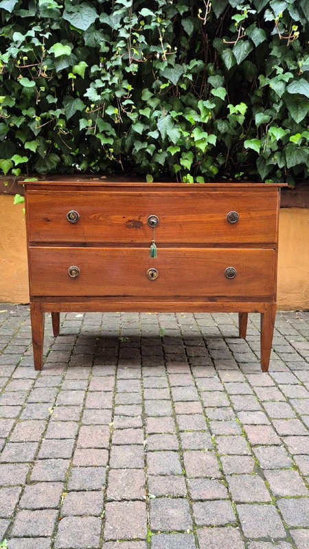 Small antique Louis XVI-style chest of drawers from Emilia