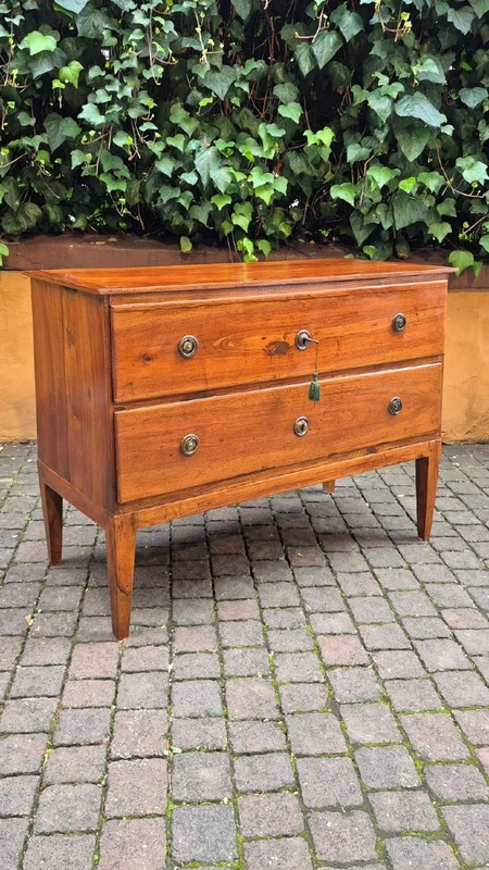 Small antique Louis XVI-style chest of drawers from Emilia