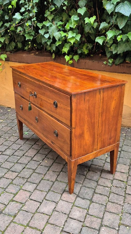 Small antique Louis XVI-style chest of drawers from Emilia