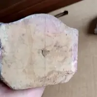 Antique pair of palm tree candlesticks - silvered wood