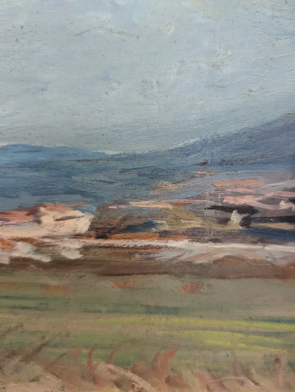 View of the Ardenza in Livorno, Paulo Ghiglia