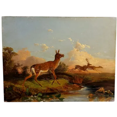 Finest and elegant oil painting on panel , Andrea Markò