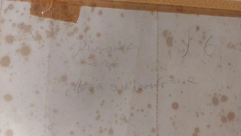 Drawing China On Paper With Characters Gleichenberg Austria 19th Century Antique