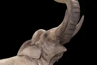 Elefante anni 40 Art Decò in terracotta e gesso