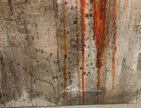 Coppia di olii su tela nudo figurativo arte moderna firmato 1960/70