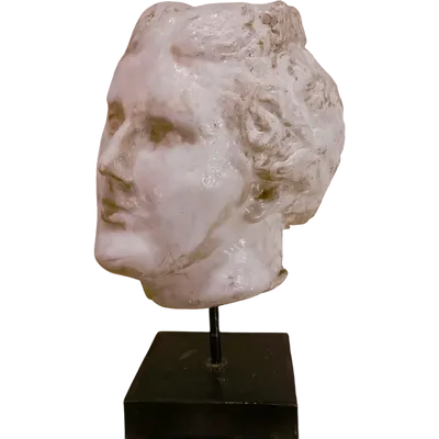 1900s academic sculpture in wax - Head of Aphrodite