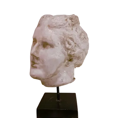 Scultura accademica del ‘900 in cera – Testa di Afrodite