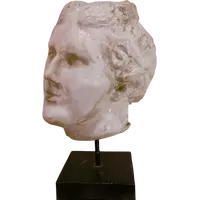 1900s academic sculpture in wax - Head of Aphrodite