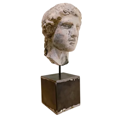 Scultura accademica primo 900 in cera – Testa di Hera