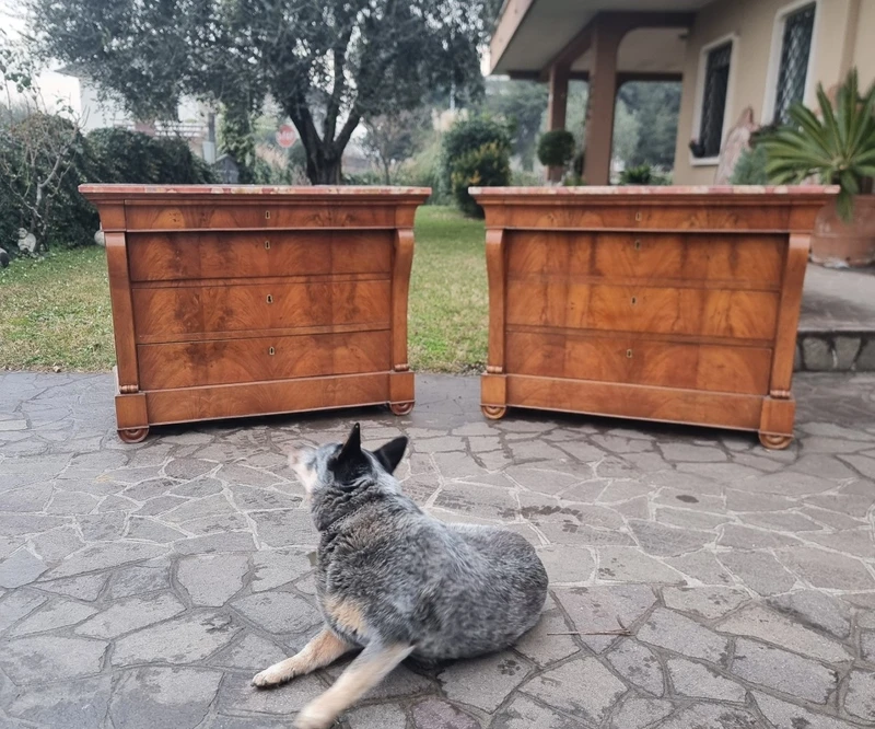 Coppia di cassettoni in noce Primo Impero 1810 con marmo Iran