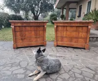 Coppia di cassettoni in noce Primo Impero 1810 con marmo Iran