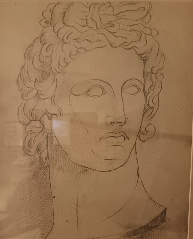 Disegno a carboncino 800 Antino