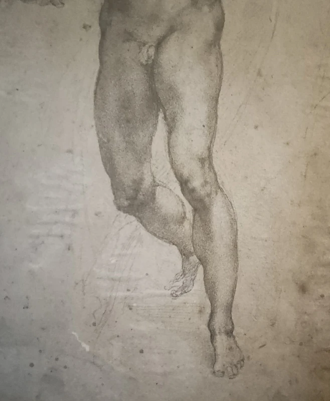 Dipinto a carboncino del 900 studio di uomo