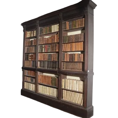 Grande  libreria a giorno fine XIX secolo