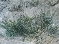 Paesaggio Notturno con Neve