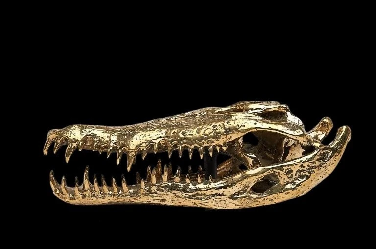 Testa di coccodrillo in bronzo dorato