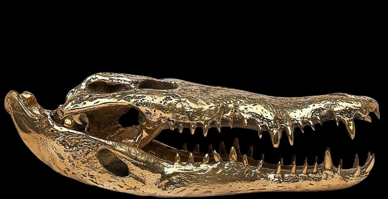 Testa di coccodrillo in bronzo dorato